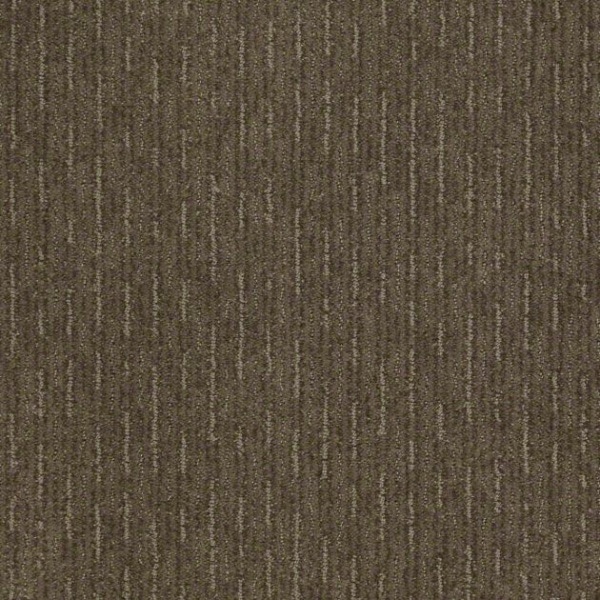 Shaw Carpet Speed Zone Warehouse Carpets