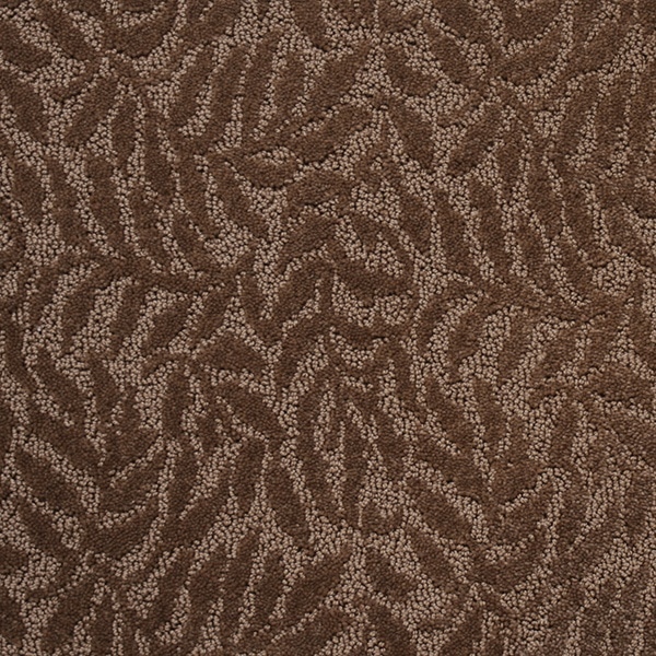 Coral Warehouse Carpets