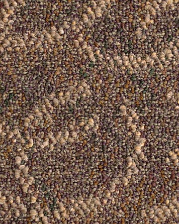 Bolyu Commercial Carpet Visions Ii Warehouse Carpets