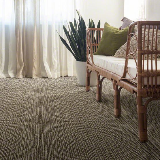 Anderson Tuftex Chase Carpet Warehouse Carpets