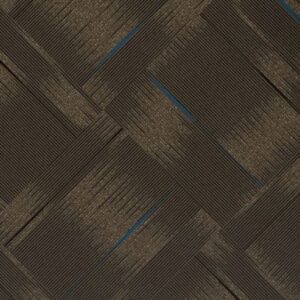 Audacious-Thrill-Seeker-358