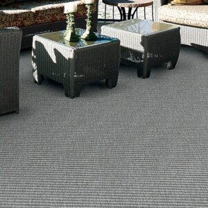 Antigua Couristan Carpets