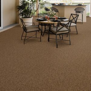 Bonaire Couristan Carpets