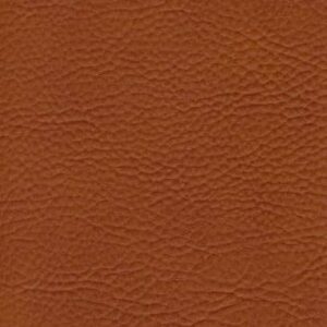 FauxLeather Truepenny