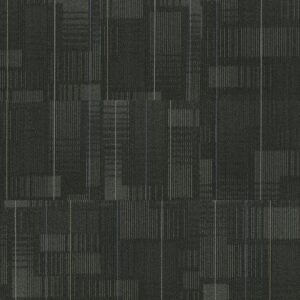 Magnetic Fields 75505