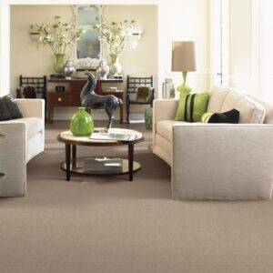 Natural Intuition by Mohawk Carpet