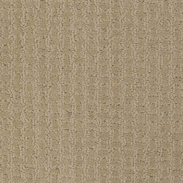 Fast Lane Residential Carpet by Shaw