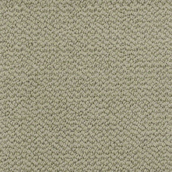 Inspiring Residential Carpet by Shaw