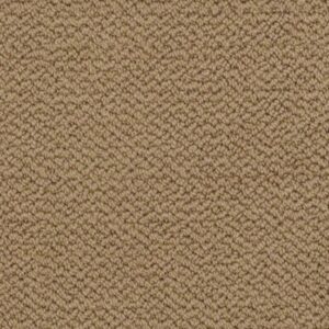 Summerville Tan 00774