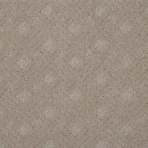 CLASSIQUE GRAPHIQUE Suede