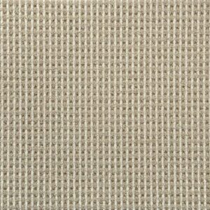 Plains Ivory