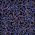 Serpentine