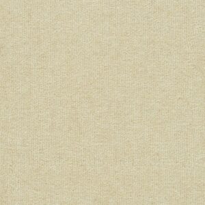 Fresh Canvas